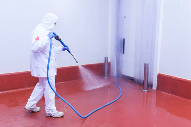 Boat and Dock Cleaning in Maxwell, CA